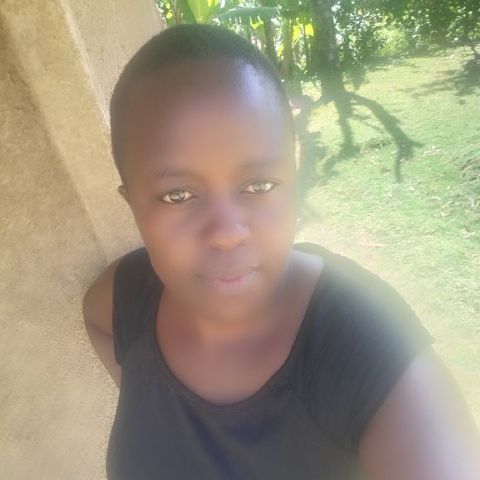 Toppy254