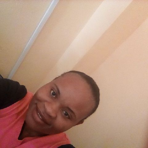 Shebo1