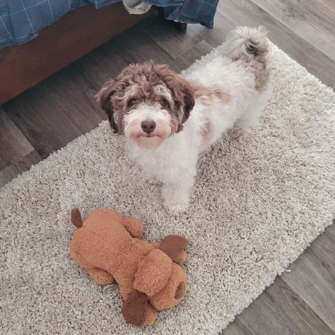 Greg1215 is Single in Conway, South Carolina, 5