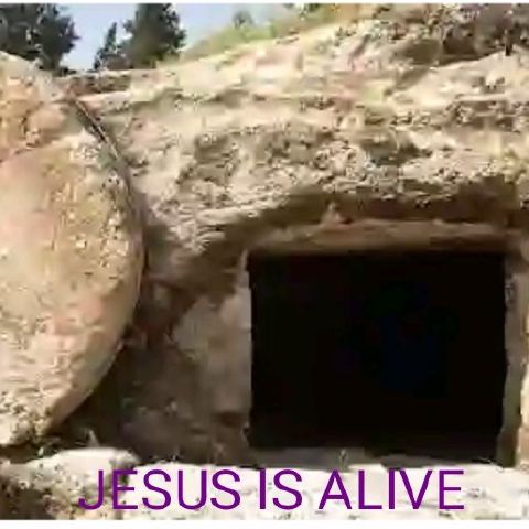 Joel6