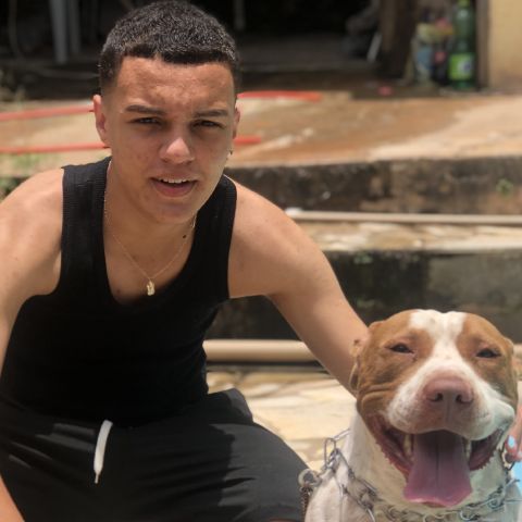 TheVieira