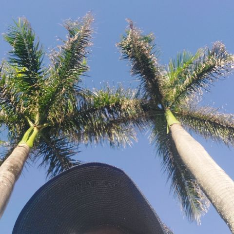 Bohang