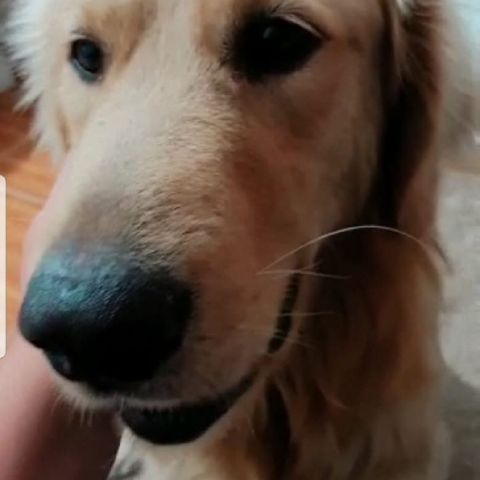PriscilaPPVM