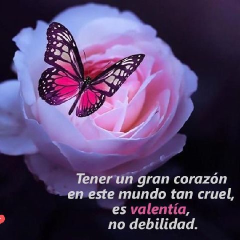 Juana25