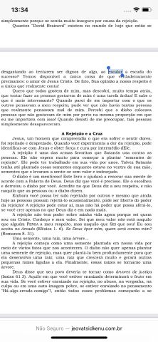 sophiflamengo