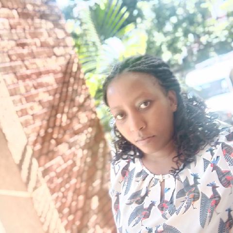 Shee53