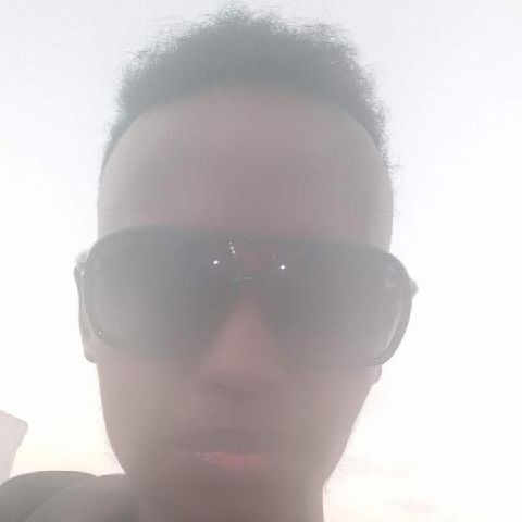 Dollar_biz