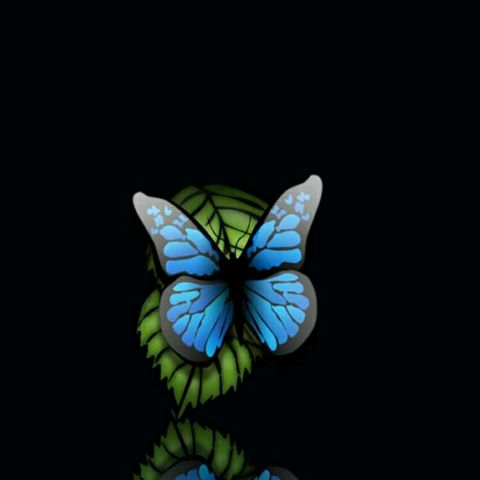 Ashuti