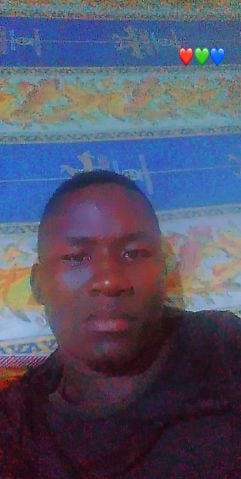 NOEL29