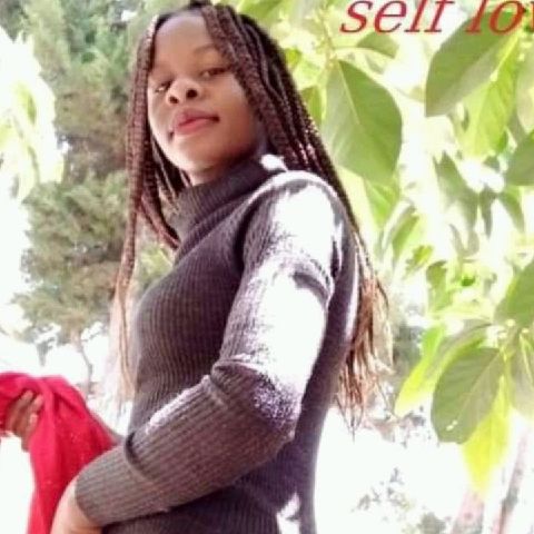 Noel254