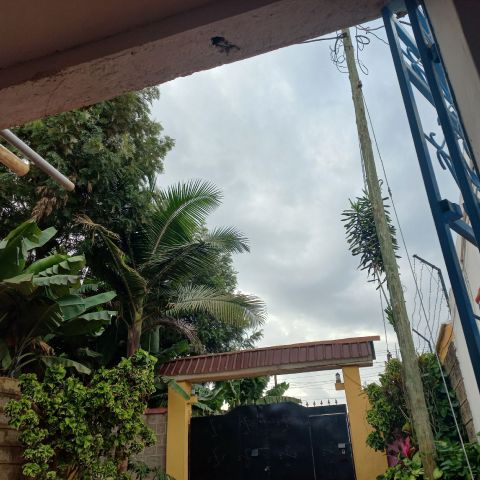 Essy30