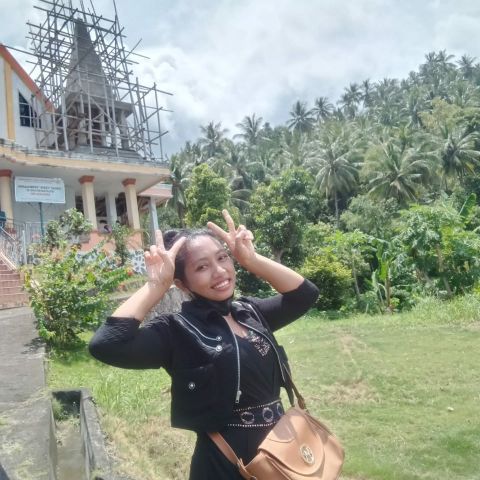 Dian289