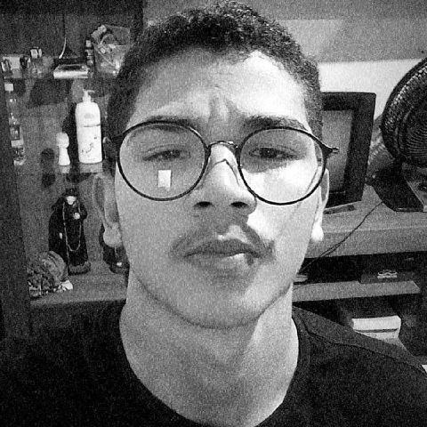 Ellisonferreiraa