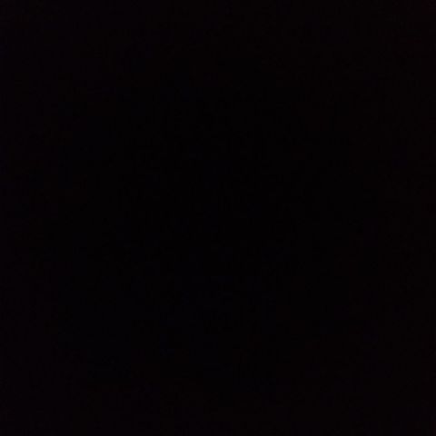 Nics_