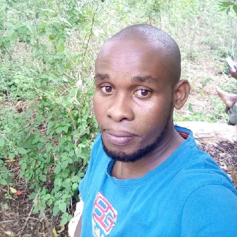 Mwaghogho