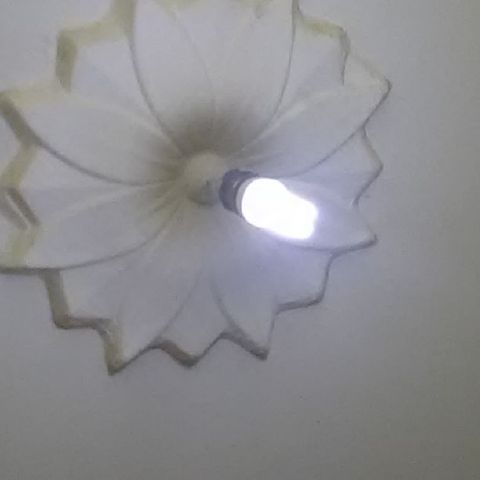 Tsion1
