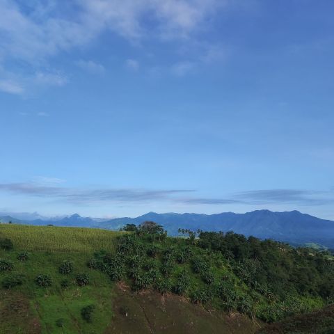 Nsjane143