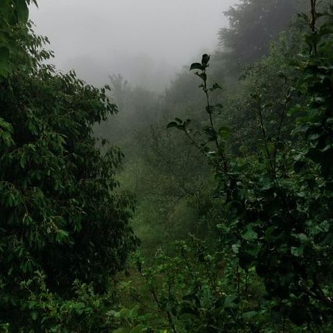 Veen1112