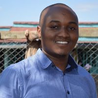 Ndogoeve