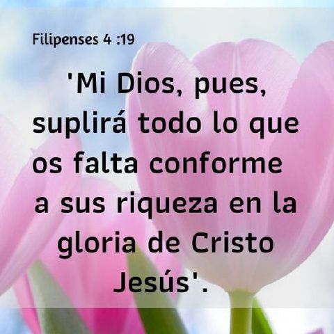 William50
