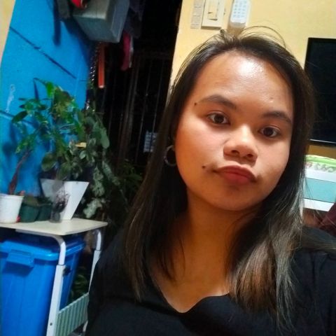 Feifeii
