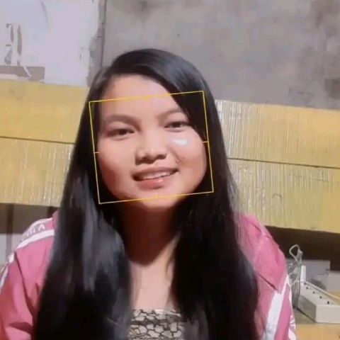 Human22