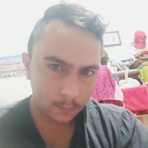 Goyy
