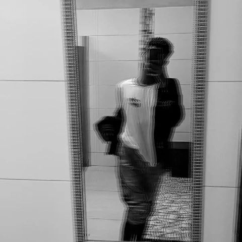 Wesley224