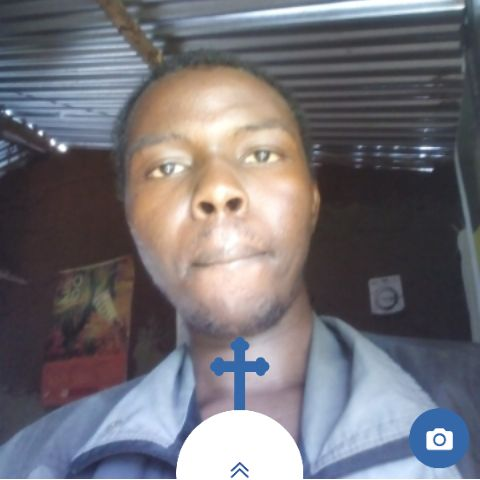 Alex265