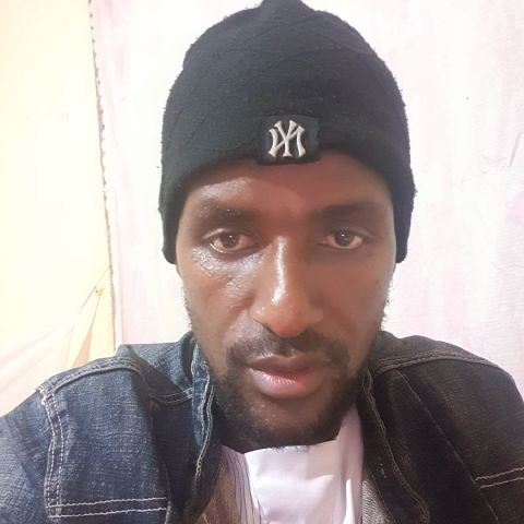 Stevo3791