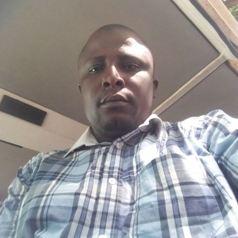 Lamin7