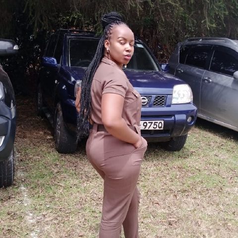 Dama235