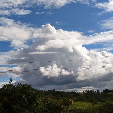 WangariG