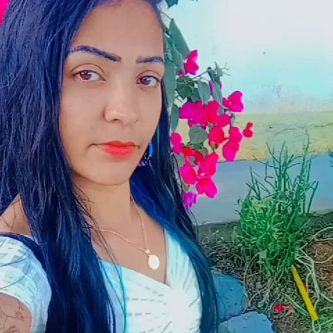 Pauliha