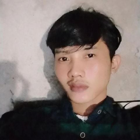 RyanDomani