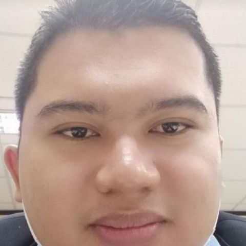 AgaveSaputra