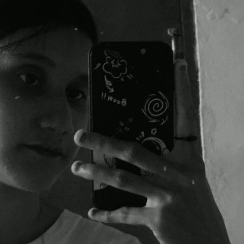 edelweysss