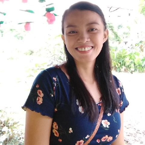 mae231