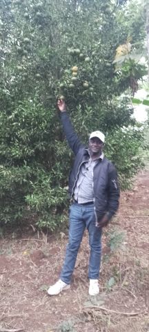 Kaimenyi