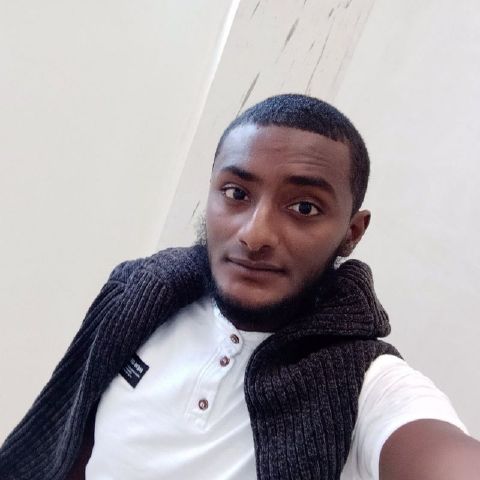 Amir260