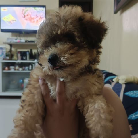Mia_05