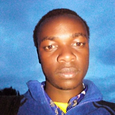 Stayer