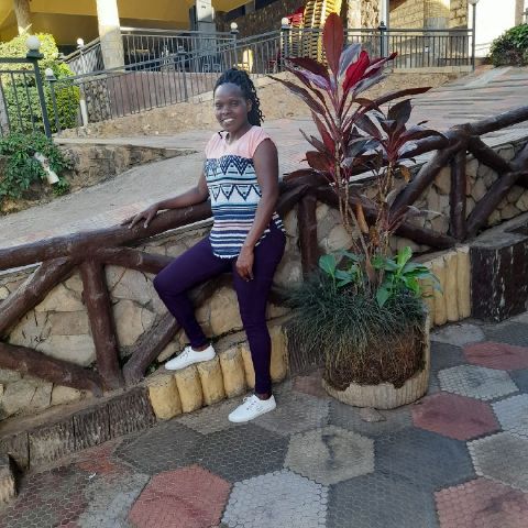 Loise2012
