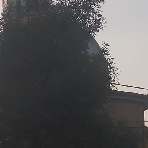 Rahelb