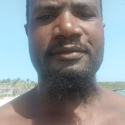 Davizik