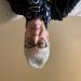 Snoopy59 is Single in Wirral, England