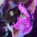 VanillaAcorn is Single in Montgomery, Alabama, 4