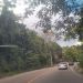 Cristin21 is Single in 72000, Distrito Nacional