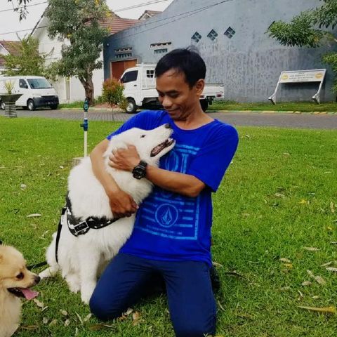 DonyAndi