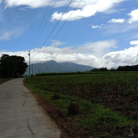 Prettysibruha